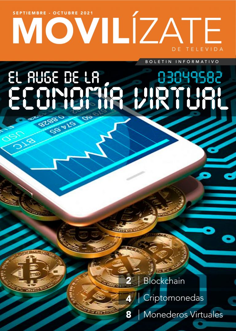 La Economía Virtual